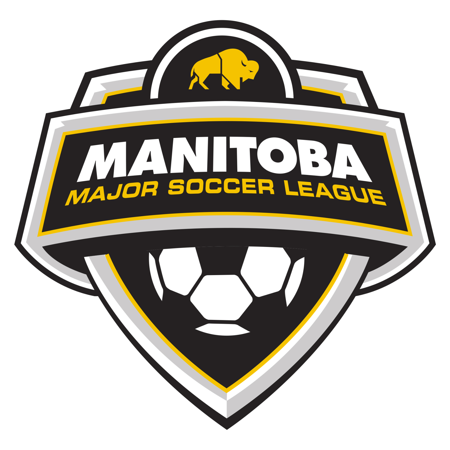 Winnipeg Adult Soccer Leagues Rec Sports Team